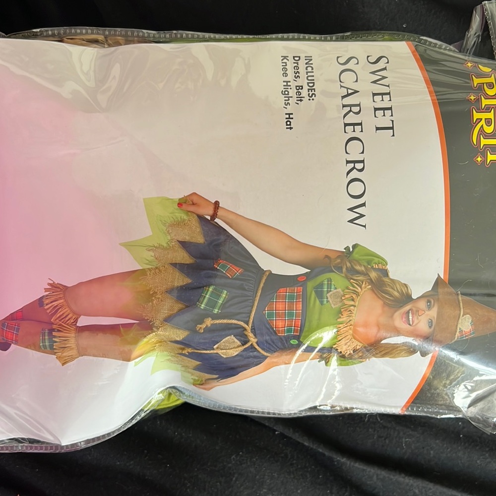 Halloween costume, worn once like new